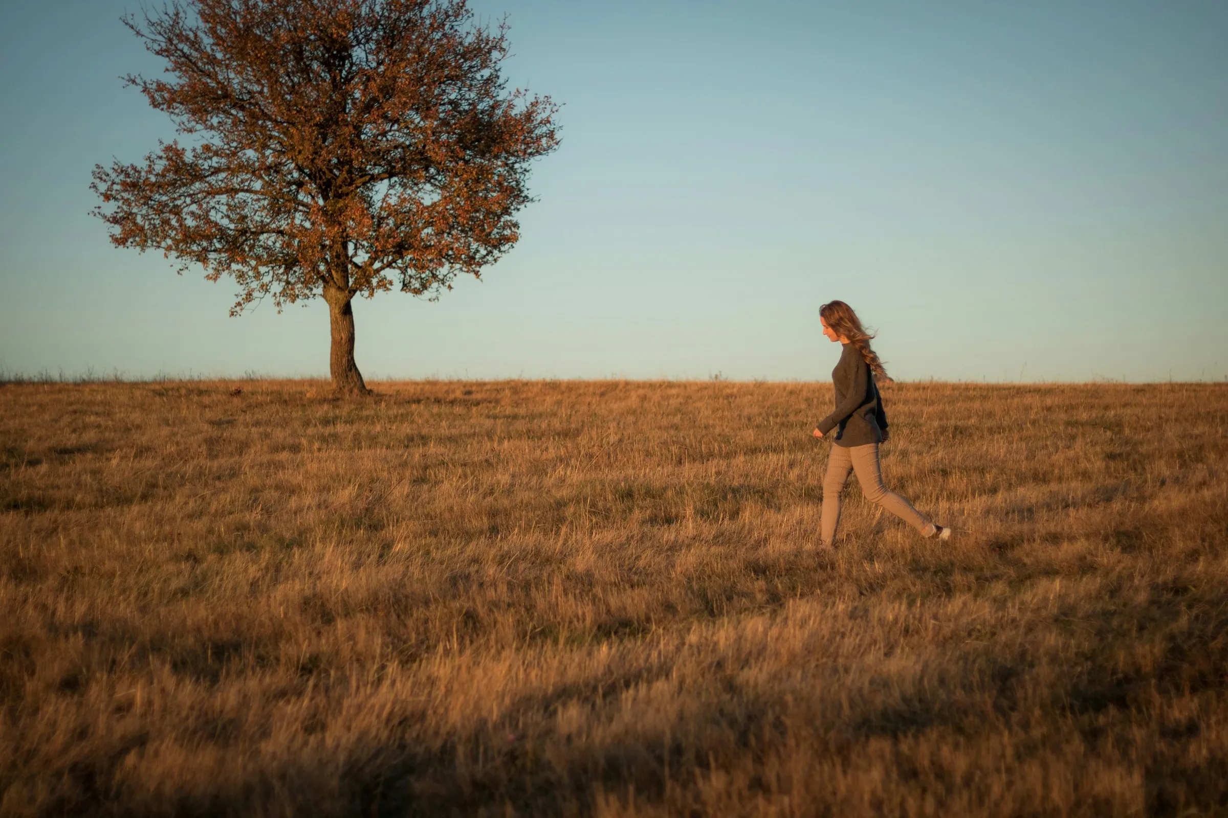 A woman walking across a golden field at sunset toward a lone tree